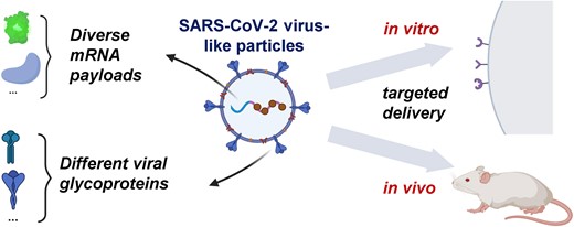Graphical Abstract