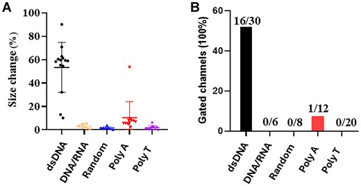 Column plot to assess the difference in gating caused by the DNA or RNA substrates. (A) The current reduction is due to gate closure during the translocation of dsDNA. Gating does not occur in the cases of DNA/RNA, as well as polyA and polyT strands. These results, indicate dsDNA specifically reduces the gate size of the channel. (B) Percent of total gated channels detected is a indication of a channel response to the translocation of the nucleic acid substrate.