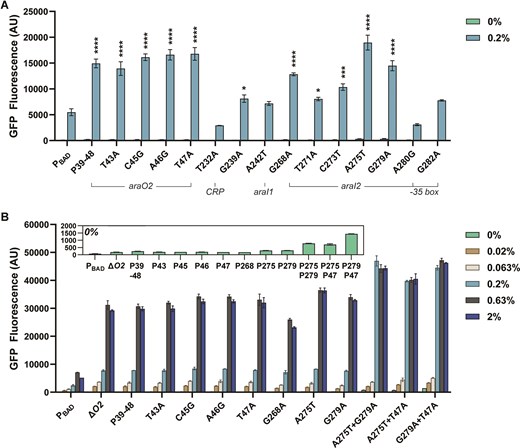 PBAD validations. (A) Sequences picked from the information footprints and enrichment heat maps were validated by flow cytometry. Individual promoters were induced with 0% and 0.2% l-arabinose (w/v) and the median gfp expression was measured after t = 5 h. (B) Single mutant promoters with improved promoter expression strength were combined and assessed after 24 h after induction with a range of l-arabinose (0%, 0.02%, 0.063%, 0.2%, 0.63%, and 2%). Statistical difference of the 0.2% l-arabinose induced samples between native and variants were determined by a two-tailed t-test. Error bars show the SD (n = 2); P-value summary: ****P < .0001, ***P < .001, *P < .05.