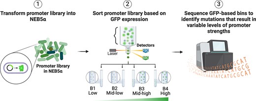Graphical Abstract