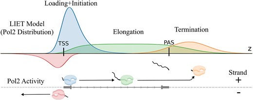 Graphical Abstract