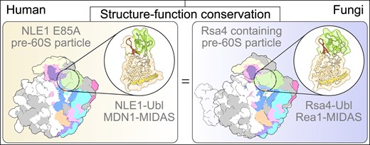 Graphical Abstract
