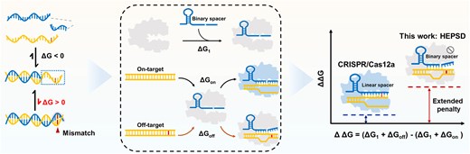 Graphical Abstract