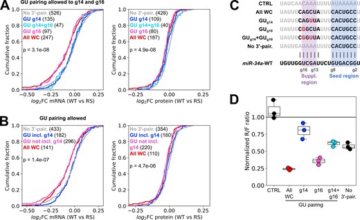 GU wobble pairs to residue g14 of miR-34a are unfavorable. (A, B) Differential mRNA and protein response to the RS modification for sites with different numbers of GU wobble pairs in the supplementary region. GU pairs were allowed only in the supplementary region (A) or anywhere in the miRNA–target complex (B). (C) Sequences of designed target sites with varying GU pairing in the supplementary region. Nucleotides in black are predicted to pair with the miRNA. (D) MiR-34a regulation of dual luciferase reporters after 24 h with the target sites in panel (C), transfected into HEK293T cells. Each datapoint in the luciferase plot represents an independent experiment (n = 3). Results are normalized to an AllStars negative control siRNA, same as the RNA-seq data. The analysis in panels (A) and (B) was performed on genes which were significantly downregulated by miR-34a-WT relative to the negative control (adj. P < .05). Significance testing between groups was done by one-way ANOVA.