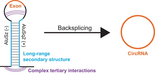 Graphical Abstract