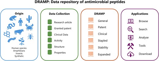 Graphical Abstract