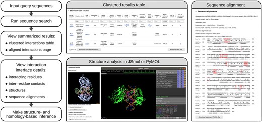 PPI3D search and analysis workflow with examples of output features.