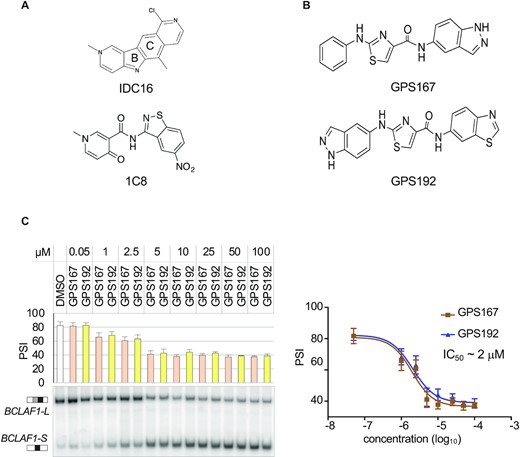 GPS167 and GPS192 modulate BCLAF1 splicing. (A) Chemical structures of IDC16 and 1C8. (B) Chemical structures of GPS167 and GPS192. (C) Endpoint RT-PCR assay to monitor change in exon 5a inclusion in the BCLAF1 transcript when human colorectal HCT116 cells are treated with different concentrations of GPS167 and GPS192 relative to DMSO. Percent Splice In (PSI) values represent the percentage of the large BCLAF1-L variant (exon 5a inclusion) over the sum of the large and short BCLAF1-S variant (exon 5a skipping). Assays were performed in triplicates for each concentration and standard deviations are shown. Differences relative to DMSO were statistically significant with P< 0.01 between 5–100 μM.