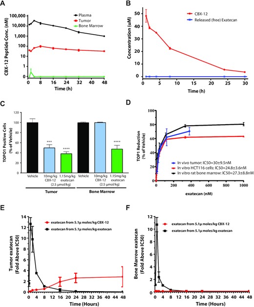 CBX-12 demonstrates tumor selective pharmacokinetics/pharmacodynamics in vivo. (A) Time course of CBX-12 peptide levels in plasma, HCT116 tumors, and bone marrow after a single 10 mg/kg dose of CBX-12 in mice. (B) Time course of plasma levels of CBX-12 peptide and unconjugated exatecan derived from CBX-12 after a single 5 mg/kg dose of CBX-12 in rats. Data are represented as mean ± SEM, N = 3-4 biological replicates for (A) and (B). (C) Number of TOP1 positive cells in HCT116 xenografted tumor and bone marrow from mice dosed with 2.5 μmol/kg of either CBX-12 or unconjugated exatecan for 4 days. Samples were taken 24 h post the last dose and assessed by FACS. (D) Levels of exatecan as assessed by LC/MS versus TOP1 protein reduction as assessed by FACS in xenografted HCT116 tumors of mice dosed for 4 days with CBX-12 in vivo (blue line), HCT116 cells treated with unconjugated exatecan for 24 h in vitro (red line), and rat bone marrow cells treated with of unconjugated exatecan for 24 h in vitro (black line), with a range of drug doses. (E) Time course of levels of exatecan assessed by LC/MS in HCT116 xenografted tumor of mice after dosing 5.1 μmol/kg of either CBX-12 (red line) or unconjugated exatecan (black line), and (F) the same experiment performed in bone marrow. Exatecan levels are expressed as increase above the in vitro IC50 of unconjugated exatecan against TOP1 protein levels in either HCT116 cells or rat bone marrow as established in (D).