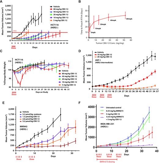 Anti-tumor efficacy with CBX-12 using alternative dosing regimens, additional tumor models, and in combination with the PARP inhibitor talazoparib. (A) Growth of HCT116 xenografts in nude mice dosed with CBX-12. The dashed line indicates the quadrupled initial tumor volume (RTV4). N = 8 mice/arm. (B) Comparison of time to reach RTV4 to intratumoral CBX-12 concentrations for HCT116 xenografts from (A) in mice treated with the indicated CBX-12 concentrations. (C) Body weight over time for mice in the study from (A). (D) Growth of JIMT-1 xenografts in SCID mice dosed with CBX-12. N = 8 mice/arm. (E) Growth of MKN45 xenografts in nude mice dosed with unconjugated exatecan or CBX-12. N = 8 mice/arm. (F) Growth of MDA-MB-231 xenografts in nude mice dosed with talazoparib (BMN673) or CBX-12 as single agents or in combination. Red line indicates talazoparib dosing. N = 8–10 mice/arm. All data are represented as mean ± SEM, and arrows represent when the doses of CBX-12 or exatecan were given.