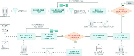 Reboot pipeline automatically integrates robust statistical tests, provides plots and allows users to control parameters straightforwardly. In module I, gene or transcript expression data are filtered for variance and Cox proportional hazard assumptions. Then, genes go through a random bootstrap resampling selection for LASSO regression and signature generation in case they are not significantly correlated. In module II, a signature-based score is created and applied in survival analysis. Users are able to perform multivariate analyses, with or without bootstrap resampling and ROC curves, if clinical data are available. Plots are automatically yielded to the users.