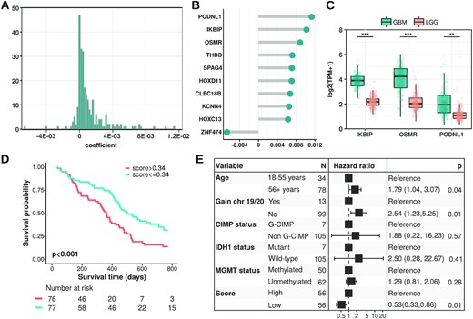 Reboot's application on the glioblastoma dataset. (A) Histogram displaying the distribution of all gene coefficients obtained using Reboot ‘regression’. (B) Top 10 genes identified as relevant for the prognosis of GBM patients. (C) Boxplots displaying the expression values of a 3-gene signature identified in GBM patients with Reboot (Wilcoxon test; **P<0.01, ***P<0.001). (D) Kaplan–Meier curve based on the 3-gene signature score identified in GBM patients with Reboot. (E) Forest plot of a multivariate model including the 3-gene signature score adjusted for clinical parameters relevant to prognosis in glioblastoma.