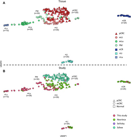Global miRNA expression according to tissue of origin. (A) UMAP cluster plot based on global miRNA expression, normalized by VST, from the DESeq2 bioconductor package, annotated by tissue of origin. (B) UMAP cluster plot based on global miRNA expression, normalized by VST, from the DESeq2 bioconductor package, annotated by study of origin. Uniform approximation and projection for dimension reduction (UMAP); varianceStabilizingTransformation (VST); primary colorectal cancer (pCRC); normal colorectal tissue (nCR); CRC liver metastasis (mLi); normal adjacent liver tissue (nLi); CRC lung metastasis (mLu); normal adjacent lung tissue (nLu); CRC peritoneal metastasis (PM).