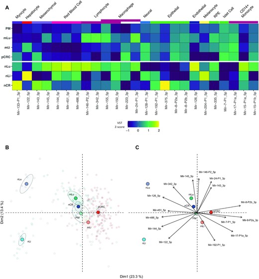 Cell-type specific miRNAs provide insight into the cellular composition of tissues. (A) Heatmap illustrating the expression of 25 cell-specific miRNAs for each tissue that had mean expression >100 RPM in at least one tissue. The color scale indicates the z-score of RPM for each miRNA. (B) PCA plot based on analysis of 25 cell-specific miRNA with expression >100 reads per million, VST normalized, colored by tissue. Transparent points are individual samples, solid points represent the statistical mean and shaded ellipses is 95% confidence of the mean of each tissue. (C) The correlation circle shows PCA loadings, which are the direction and relative contribution the top 15 cell-type specific miRNAs had on clustering of each tissue. Reads per million (RPM); principal component analysis (PCA); varianceStabilizingTransformation (VST); primary colorectal cancer (pCRC); normal colorectal tissue (nCR); CRC liver metastasis (mLi); normal adjacent liver tissue (nLi); CRC lung metastasis (mLu); normal adjacent lung tissue (nLu); CRC peritoneal metastasis (PM).