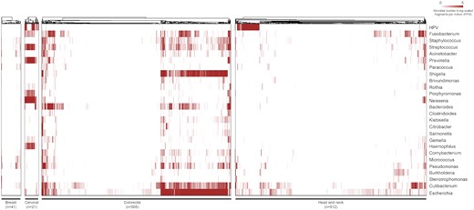 Landscape of infectious pathogens across breast (n = 41), cervical (n = 21), colorectal (n = 505), and head and neck (n = 511) tumors. The column width for the breast and cervical tumors is augmented (not to scale). The pathogen burden depicted in the plot is log-scaled FPM, as generated by the IPD tool.