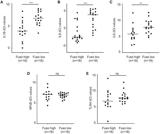 qPCR-based validation of inflammation marker genes (A) IL1B, (B) IL8, (C) IL6, (D) NFκB and (E) TLR4 in the Fusobacterium-high and -low in-house tongue tumor samples (n = 18 each). Samples with Ct value greater than 32 were excluded from the analysis.