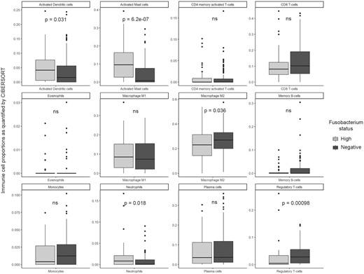 Comparison of individual immune cell type fractions (based on the CIBERSORT scores) among the TCGA-HNSC Fusobacterium-high (n = 44) versus Fusobacterium-negative (n = 130) subgroups.