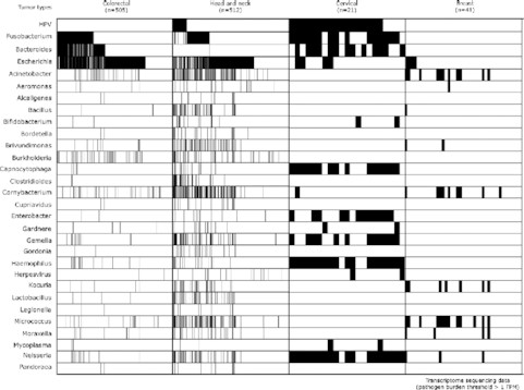 Landscape of microbes associated with human cancers identifies mutual exclusivity of human papillomavirus and Fusobacterium in head and neck cancer.