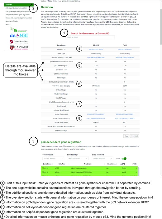 The TargetGeneReg 2.0 website design. Start by entering your genes of interest as gene symbol or Ensembl gene ID. The overview section provides a helpful summary on the regulation of your genes of interest. Details on each point in the overview section is available through mouse-over boxes and through the ‘About’ section. The additional sections are available through the navigation bar in the upper left corner or by scrolling through this one-page website design. The additional sections contain more detailed information, such as data from the individual datasets and citation and history data for the resource.