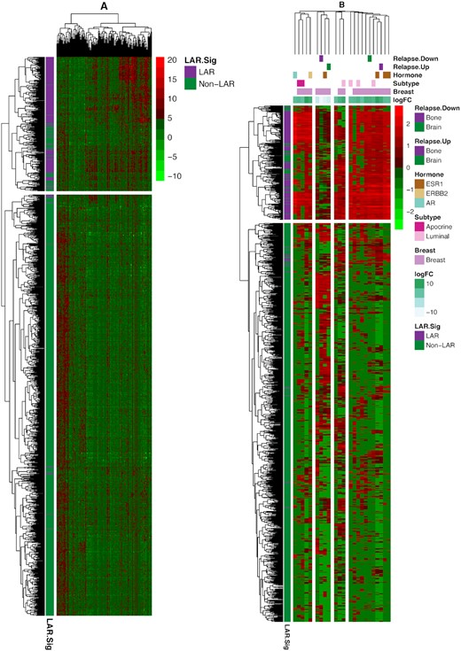 Heatmap (bi-clustering) of the 1209 TNBC samples from TCGA and seven NAC datasets. The samples were ‘batch’ adjusted with the modCombat function in the sva package. The left heatmap presents the bi-clustering performed on the dissimilarity matrix of Pearson's correlation, using complete linkage. Parametric geneset enrichment analysis of these 160 commonly assayed genes between RNA-Seq and microarray from the LAR-Sig signature was performed for the C2 genesets from MsigDB. Genesets were down-selected to the 89 genesets sharing at least 5% (eight genes) of our LAR-signature, while smaller than 600 genes overall were evaluated. Twenty-three genesets were observed to be significantly altered after Bonferroni correction for the family-wise error rate and possessing an absolute log FC of five or more. Using Jaccard's dissimilarity measure, these genesets were clustered based upon their inherent gene membership, and log FC are depicted in the column annotation. Breast cancer signatures predominated the gene signatures (indicated with lavendar). LAR expression positively correlates with bone relapse signatures (marked with purple coloring) from Smid et al. While negatively correlated relationships were observed among a similar brain relapse genesets (indicated in green). Here up-regulated genesets are associated with bone relapse up-signature and vice versa, suggesting bone relapse would be more prevalent among LAR samples. The direct relationships also were mostly observed among Smid et al., signatures for Luminal (light pink) and apocrine (red) expression signatures, and AR (light blue-green), ESR1 (brown) and ERBB2 (tan) hormone expression.