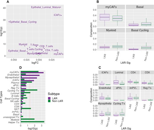 Deconvolution of the RNASeq datasets. TME composition profiles, represented by twenty cell types, were obtained for the three RNASeq datasets. (A) Volcano plot shows the observed compositional difference between LAR and non-LAR samples. Linear modeling was performed with the limma package. Fourteen of the twenty cell types were observed to be differently abundant among the TNBC subtypes (α = 0.05). The largest log FC presented in the basal epithelium (cycling) and myofibroblastic cancer-associated fibroblasts (myCAFs). (B) We divided these fourteen cell types based on the average prevalence observed in the 1209 samples. We present the distribution of the four most prevalent subtypes (myCAFs, myeloid and two basal epithelia) as boxplots. The basal epithelium was less prevalent in the LAR samples; similarly, there was also a decrease in myeloid cells. In contrast, there was enrichment of myCAFs among the LAR samples. (C) We present similar boxplot distributions for the less prevalent cell type distributions, which were observed to be differentially abundant among the subtypes. Similarly, we observed the decreased presence of myoepithelial cells with an increase in mature luminal epithelial cells among the LAR samples. There was a discordant increased presence of CD4+ and CD8+ cells among the LAR, with decreased presence in regulatory and cycling T cells. Minor changes were also observed among the three other fibroblast lineages (inflammatory CAFs and perivascular-like). (D) A linear model was also evaluated for compositional associations with the therapeutic response for each of the two subtypes. Here we present the -log10(p value) for the two analyses. A decrease in myofibroblast-like cancer-associated fibroblasts was observed for both subtypes to be associated with pathological complete response. Conversely, LAR samples that responded to treatment also presented an increased presence of inflammatory cancer-associated fibroblasts, as were myoepithelial and endothelial lineages. The response among the non-LAR was associated with increased immunological presence, including myeloid cells, plasma cells, T-helper cells, and cycling T-cells. The cellular increases would appear to be concordant with the immune signature expression patterns we observed in Figure 5C.