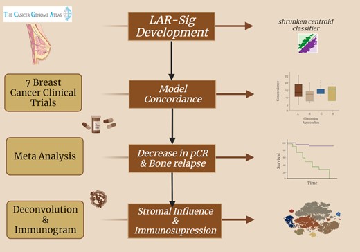 An analysis of luminal androgen receptor triple negative breast cancers: immune activity, tumor microenvironment and neoadjuvant responses. Created with BioRender.com.