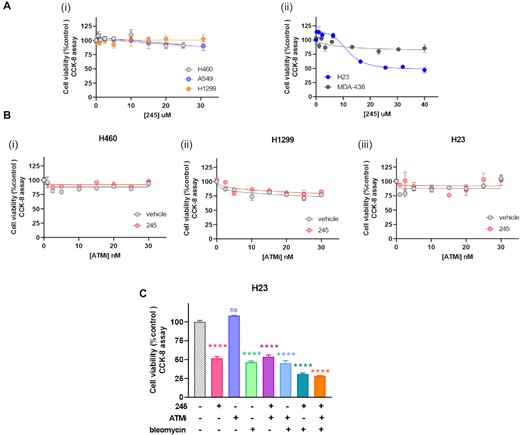 Ku-DBi's differentially impact on NSCLC cell lines carrying different ATM, p53 and BRCA1 genetic status. (A) Effect of Ku-DBi 245 as a single agent in cells carrying mutations for ATM, p53 and BRCA1. H460 (ATM wt, p53 wt), A549 (ATM wt, p53 wt) and H1299 (ATM wt, p53 deficient) (i), and H23 (ATM deficient, p53 mutated) or BRCA1 mutation MDA-436 (ATM wt, p53 mutated) (ii) were treated with increasing concentrations Ku-DBi 245 for 72 h and cellular viability was determined by CCK-8 assay. Data are presented as the mean and SEM of triplicate determinations. (B) H460, H1299 and H23 cells were treated with 20 μM Ku-DBi or vehicle and increasing concentrations of the AZD0156 ATM inhibitor. Cells were incubated for 72 h and cellular viability was determined by CCK-8 assay. Data are presented as the mean and SEM of triplicate determinations. (C) H23 cells were pre-incubated with 20 μM Ku-DBi, 30 nM AZD0156, 1 μM bleomycin or vehicle or combinations. Cells were incubated for 72 h after which cell viability was determined by CCK-8 assay. Data are presented as the mean and SEM of triplicate determinations. ****P < 0.0001 as calculated by one-way ANOVA with Tukey's multiple comparisons test.