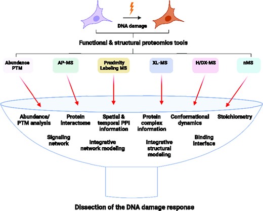 Graphical Abstract