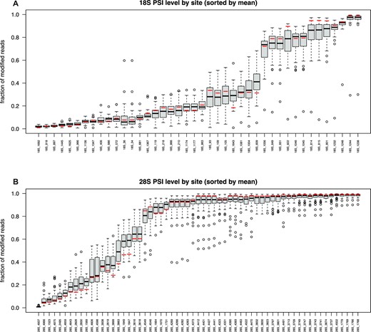 Box plot representing the modification fraction of all samples and the mean of reference RNA samples (red bar) ranked by increasing average value (black bar) of modified uridines in 18S (A) and 28S (B) rRNA. Interquartile range (black box) and outliers (black circles) are also depicted to show inter-patients variability.
