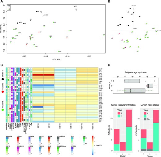 Samples clustering by log2FC of Ψ level with respect to reference samples. (A) shows the PCA-transformed representation of the samples, using the log2FC of all 18S and 28S positions as features and the first two principal components. Color indicates the cluster to which samples belong, as identified by the hierarchical clustering and k-means algorithms. (B) shows the PCA-transformed representation of the samples, using the log2FC of all 18S and 28S positions as features and the first three principal components. Color indicates the cluster to which samples belong, as identified by the hierarchical clustering and k-means algorithms. (C) shows the log2FC for the positions in the 95th percentile of the highest absolute weight of the PC2 component for the PCA shown above. The log2FC values of these positions are able to separate the samples into the three clusters. (D) shows the distribution of subjects age, tumor vascular infiltration, and lymph node status for subjects in the three clusters.