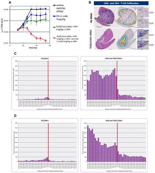 (A) Effect of lowering the dose of siRNA administered in PNP. Syngeneic orthotopic tumor growth was initiated as detailed in the Materials and methods. All treatments were administered six times BIW over 3 weeks. The animal exposure experiment was repeated at a lower dose of TGFβ/Cox2 siRNAs in PNP (1 mg/kg IV BIW). Vehicle (black circles) consisting of PNP + non silencing siRNA resulted in a significant growth of the tumor. PDL1 mAb alone (5 mg/kg IP BIW; blue squares). TGFβ /Cox2 siRNA in PNP (1 mg/kg IV BIW) (green triangles). TGFβ/Cox2 siRNA in PNP (1 mg/kg IV BIW) + anti-PDL1 mAb (5 mg/kg IP BIW) (red diamonds). Data is plotted ±SEM (n = 10 animals per data point). (B) Examples of recovered tumors from samples treated with non-silencing (NS) siRNA (upper panel) or TGFβ/Cox2 siRNA in PNP (lower panel). Animals were treated with NS siRNA or TGFβ/Cox2 siRNA in PNP at 1 mg/kg for just three doses (BIW) and then animals were sacrificed, and livers excised, fixed and sectioned, and sections either H&E stained or stained for CD4+/CD8+ T-cells. The left most sections are stained with H&E and show the dramatic reduction in tumor volume upon treatment with TGFβ/Cox2 siRNA + PNP. The rightmost sections show the regions identified where the tumor margin meets the liver. The different colored lines indicate segments around the tumor margin at 25 um intervals in towards the tumor or out away from the tumor. The white square in each figure shows a region examined for T-cell penetration as shown expanded in the right panels for CD4+ and CD8+ T-cells. (C, D) Staining for CD4+ and CD8+ T-cells in the liver sections. CD4+ (C) and CD8+ (D) were counted in the various segments and the values are plotted in the figures. The peritumoral zone is represented by the vertical red line and T-cell counts in each 25 um segment either, in (toward the tumor), or out (away from the tumor) were counted and plotted for non-Silencing siRNA (NS; left panel) or TGFβ and Cox2 siRNA (right panel). A representative image for each treatment was used to calculate the T-cell penetration but similar observations were made in other experiments.