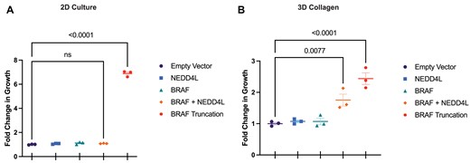 In vitro validation of cooperativity between NEDD4L and BRAF. A 6-day growth assay in 2D culture with A375 cells expressing transgenic candidate drivers of drug resistance to 5 μM vemurafenib (A). An ANOVA with multiple comparisons showed no significant increase in growth in cells co-expressing BRAF and NEDD4L. A 9-day growth assay in a 3D collagen matrix with A375 cells expressing transgenic candidate drivers of drug resistance to 0.5 μM vemurafenib (B). An ANOVA with multiple comparisons showed a significant increase in growth in cells co-expressing BRAF and NEDD4L (P= 0.0077). In 2D culture and 3D collagen assays, A375 cells expressing transgenic BRAF truncation were utilized as a positive control of growth in the presence of vemurafenib.