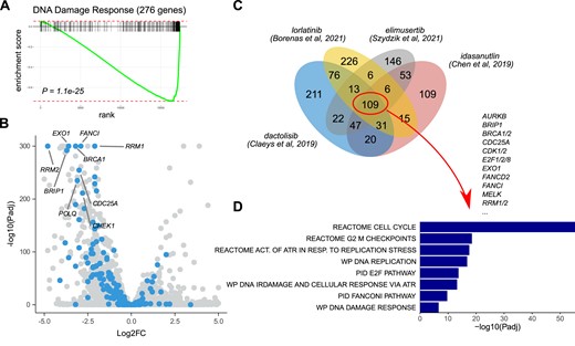 CLEAN-based identification of previously studied drugs that result in a reduced DNA Damage Response transcriptomic signature in neuroblastoma. CLEAN was used to search for previous studies that resulted in significantly downregulated genes (default settings; i.e. logFC < –1.5 at 5% FDR) that were enriched (at 5% FDR) for a custom DNA Damage Response (DDR) gene set (276 genes, as described by Knijnenburg et al. (34)). Four retrieved studies were then further explored in the RNA-Seq tab. Running score (A) and volcano plot (B) for the DDR gene set in the study of Chen et al, 2019 (35). DDR genes indicated in blue in the volcano plot with labelling of genes that are discussed in the main text. (C) Venn diagram showing the number of unique and intersecting genes between the 4 selected studies. (D) A GSEA using canonical pathways was then performed in the 109 common genes. Bar plots indicate –log10(Padj) values for a selection of enriched pathways as indicated. All plots were generated based on downloaded data from CLEAN. See Supplementary file 1 for an illustration of this use case.
