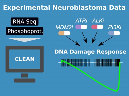 Graphical Abstract