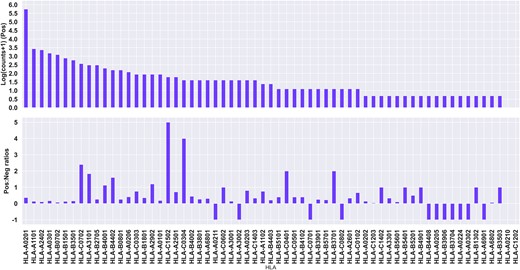 Quantitative description of the CEDAR data set. Top panel: Log positive counts, with an offset of +1 to account for alleles with 0 positive samples. Bottom panel: Positive to negative ratios for each allele. A ratio of –1 indicates no negative samples.