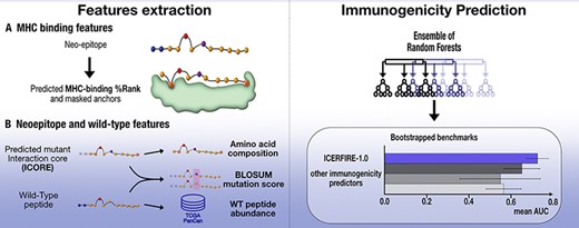 Graphical Abstract
