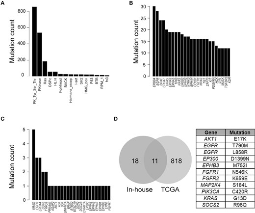 Somatic mutation analysis using the DOME framework for the mutations obtained from large-scale sequencing projects. (A) Top 15 domains in which mutations were predicted drivers across TCGA somatic mutations. Top 25 genes with maximum number of analogous positions across TCGA (B) and in-house (C) somatic mutations predicted to be drivers. (D) Overlap between the predicted driver mutations from TCGA and in-house somatic mutations, with the table containing the 11 overlapping mutations.