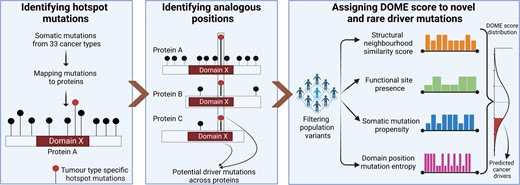 Graphical Abstract