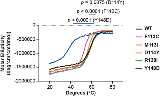 The Y148D variant destabilizes XPA. Circular dichroism of purified recombinant WT or variant XPA DBD protein measured at 222 nm over increasing temperature (n = 3). Each curve represents the average of three measurements. Ellipticities for the buffer and cuvette alone were subtracted from each measurement. Mean apparent Tm and standard deviation determined for each variant by recording the temperature at which the steepest slope is observed (the temperature at the maximum recorded value of the corresponding first derivative curve): 59 ± 0.6°C (WT), 53 ± 0.0°C (F112C), 59 ± 0.6°C (M113I), 57 ± 0.0°C (D114Y), 58 ± 1.0°C (R130I) and 38 ± 2.1°C (Y148D). Mean apparent Tm values were statistically compared for each variant to WT using two-tailed unpaired t-tests, and comparisons to WT with P< 0.05 are indicated.