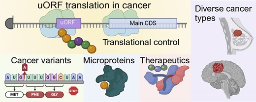 Graphical Abstract