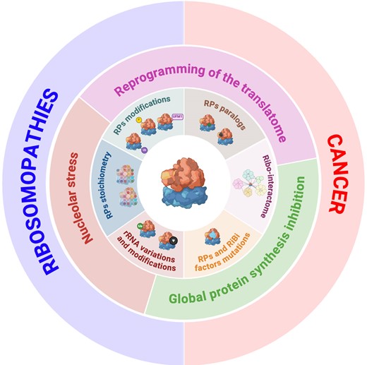 Graphical Abstract