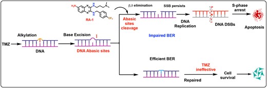 Graphical Abstract