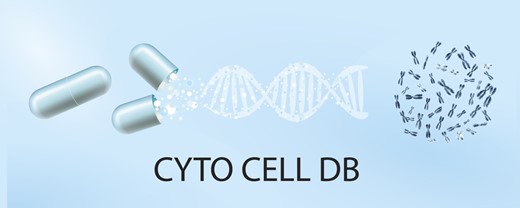 Graphical Abstract