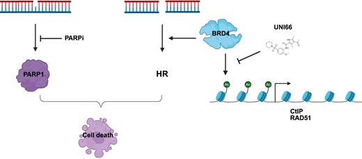 Graphical Abstract