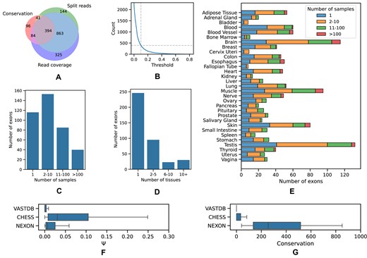 Properties of cryptic exons. (A) Venn diagram of the set of cryptic exons passing the 10th percentile threshold by evolutionary conservation, split read support and read coverage support. (B) The size of the intersection in (A) as a function of the percentile. (C) The support of cryptic exons by the number of samples. (D) The support of cryptic exons by the number of tissues. (E) The number of exons in each tissue supported by a different number of samples. (F) The inclusion levels (Ψ) of exons from VastDB, CHESS and exons reported here (NEXON). (G) The average phastCons scores of exons from VastDB, CHESS and NEXON.