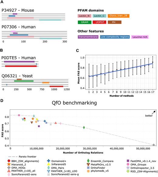Feature architecture comparison as a novel benchmark in the QfO benchmark service. (A) Feature architecture comparison of an ortholog pair that was consistently found by all methods. The average bi-directional FAS score is 0.85 due to the Leucine-rich region that is present only in the human protein. (B) Feature architecture comparison of an ortholog pair that was assigned only by SonicParanoid. The two proteins differ substantially in both their length and in their feature architecture with the sole feature being shared is the C-terminal UDPGT Pfam domain. The average bi-directional FAS score is 0.43. (C) The correlation between the mean FAS score of protein pairs and the number of ortholog predictors supporting the orthology relationship (Pearson’s correlation coefficient: 0.98, P = 6e-12). (D) FAS benchmark performance versus the number of inferred orthologs for orthology assignment tools submitted to the latest QfO orthology benchmark service.