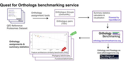 Graphical Abstract