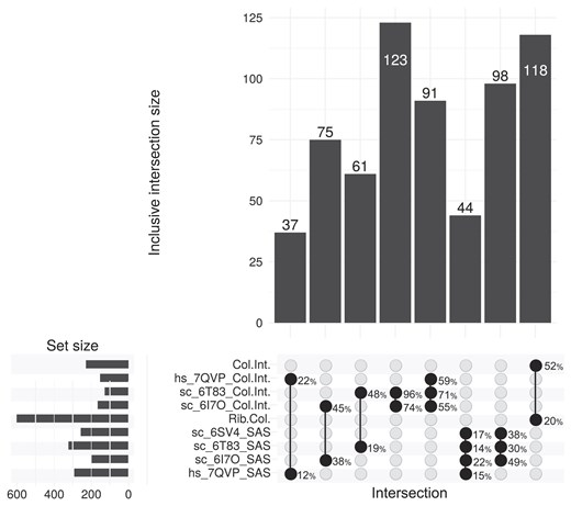 Overlap statistics between collision-associated rRNA position sets derived from structural analysis of different ribosome structures in the collision state. Sets are lifted over for yeast, and set sizes are given in the top bar plot for the intersections marked below. Left bar plot summarizes the set sizes for rRNA position sets generated with this study, whereas the overlap percentages are shown to the right of the highlighted intersections. The PDB IDs of the analysed structures are included within their respective set IDs, with Rib.Col. and Col.Int. sets representing the union of same type sets.