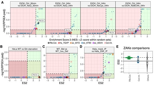 Ribosome collision prediction results across various Ribo-seq datasets with amino acid depletion versus control comparisons (A–C). In these plots, both axes represent the enrichment scores, with higher values indicating stronger predictions. Each point represents the enrichment result for a different rRNA position set whether it is collision- or heterogeneity-associated. (D) Violin plots show the distribution of ES2 prediction scores across various datasets focusing on comparisons with ZAKα activation, a sensor for ribotoxic stress response. Values are given separately for Rib.Col. and Col.Int. rRNA position sets whereas all heterogeneity-related prediction scores are given together (Others). (E) Collision prediction with dricARF in a dataset with ZAKα-bound Ribo-seq versus control Ribo-seq suggests a differential abundance of collisions between the two conditions.