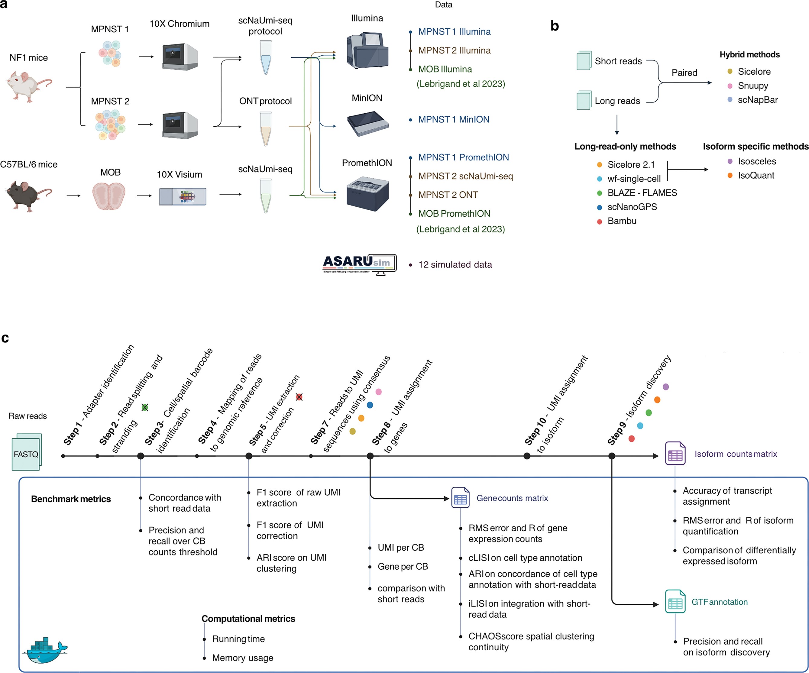 Benchmarking long-read RNA sequencing tools for single-cell and spatial ...